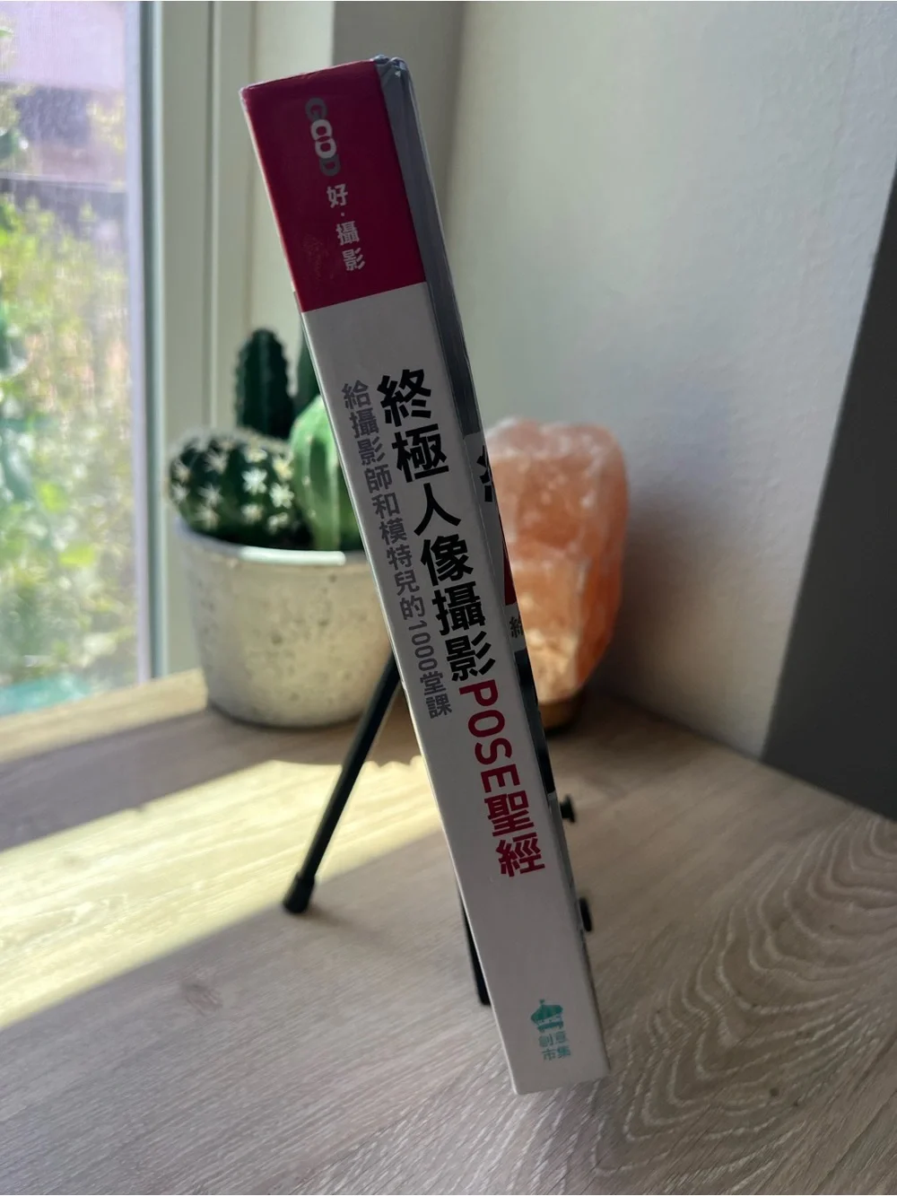 Photographing Models 1000 Poses Eliot Siegel Chinese Edition Photography Book